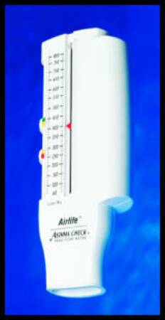 FLOWMETER PEAK ASTHMA CHECK, EACH