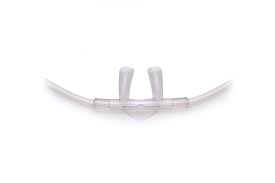 CANNULA W/FLARED NASAL TIP, EACH