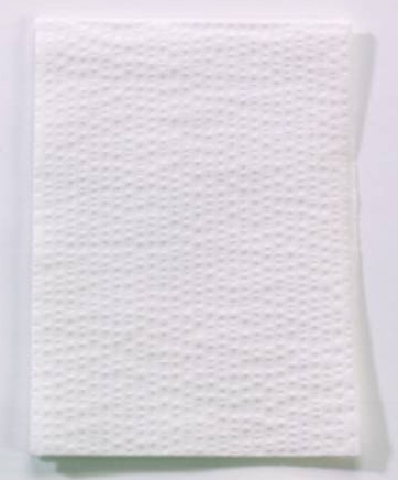 TOWEL, 13" X 18" 2PLY PB WHITE, 500/CS TOWEL, 13" X 18" 2PLY PB WHITE, 500/CS