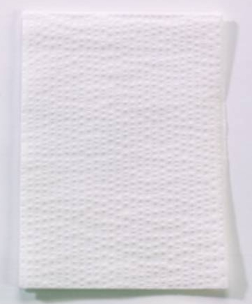 TOWEL, 13" X 18" 2PLY PB WHITE, 500/CS