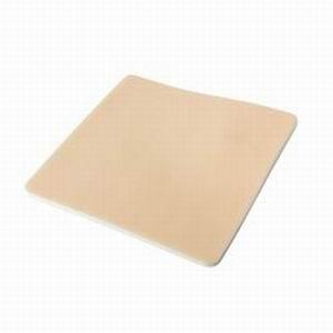 LYOFOAM, STD 4X4", NON-ADHESIVE, 10/BX LYOFOAM, STD 4X4", NON-ADHESIVE, 10/BX