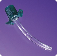 CANNULA, DISP INNER FENESTRATED SIZE 6, EACH