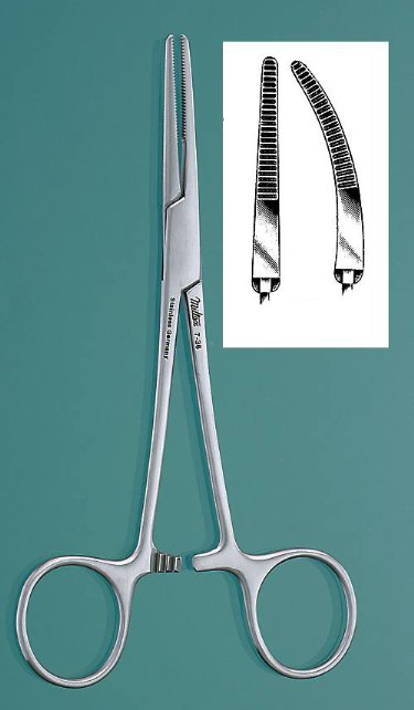 FORCEPS,  KELLY 5.5\" STRAIGHT, EACH